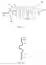 Fig. 02 - Expandable coil stent