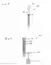 Fig. 06 - Ultrasensitive sensor and rapid detection of analytes