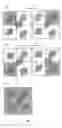 Fig. 08 - Ultrasensitive sensor and rapid detection of analytes