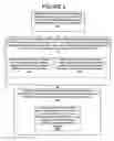 Fig. 06 - System and method for providing community health data services