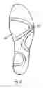 Fig. 03 - Sock