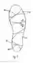 Fig. 06 - Sock