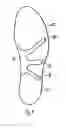 Fig. 09 - Sock