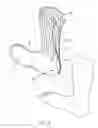 Fig. 03 - Rear zipper sock