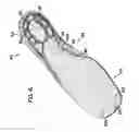 Fig. 06 - Slipper insole, slipper, and method for manufacturing a slipper