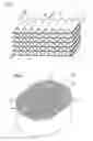 Fig. 02 - Impregnated filter element, and methods