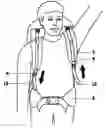 Fig. 01 - Backpack with shoulder movement harness system