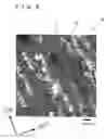 Fig. 06 - Silicon semiconductor substrate and its manufacturing method