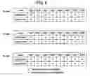 Fig. 06 - Testing and inspecting method of a plasma display panel