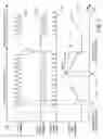 Fig. 06 - Closed-loop rotational control of a brushless dc motor