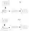 Fig. 04 - Differential clock correction