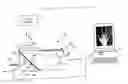 Fig. 01 - Dual energy imaging using optically coupled digital radiography system