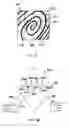 Fig. 04 - System and method for counting ridges in a captured print image