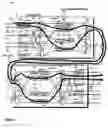 Fig. 08 - Method and apparatus for protecting optical signals within a wavelength division multiplexed environment