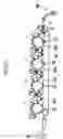Fig. 22 - Transfer apparatus, image forming apparatus, and method of correcting moving speed of belt