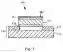 Fig. 02 - Biosensor utilizing a resonator having a functionalized surface