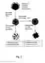 Fig. 02 - Imprinted mesoporous carbons and a method of manufacture thereof