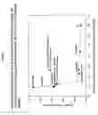 Fig. 02 - Hydrocarbon fuel process using fuels with high autoignition temperature