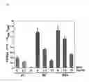 Fig. 07 - Agents for proliferating pancreatic beta-cells of the islets of langerhans, agents for suppressing apoptosis of said cells, and screening of candidate compounds for these agents