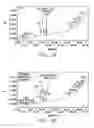 Fig. 02 - Self-assembling protein matrix prepared from natural extracellular matrices