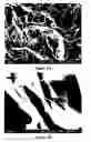 Fig. 02 - Compositions and methods for medical use of graphene-containing compositions