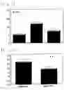 Fig. 02 - Process for production of aqueous colloid of graphite silica particles emitting far-infrared rays
