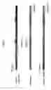 Fig. 02 - Immunoglobulin variable region cassette exchange