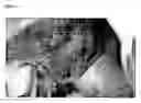 Fig. 16 - Whole bacterial cells as immune modulator