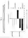 Fig. 07 - Modified streptococcal polysaccharides and uses thereof