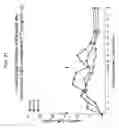 Fig. 22 - Modified streptococcal polysaccharides and uses thereof
