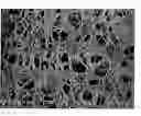 Fig. 01 - Co-continuous phase composite polymer blends for in-vivo and in-vitro biomedical applications