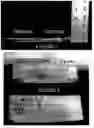 Fig. 02 - Methods for preventing warping in wood products