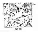 Fig. 43 - Microporous materials, methods, and articles for localizing and quantifying analytes
