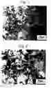 Fig. 02 - Flame-sprayed copper-aluminum composite material and its production method