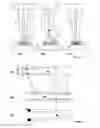 Fig. 02 - Method and devices for non-traumatic movement of a probe through biological cell material