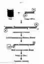 Fig. 02 - Methods and compositions for retroviral preintegration complex-based assays
