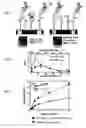 Fig. 09 - Reduction of non-specific adsorption of biological agents on surfaces