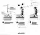 Fig. 02 - Nanoscale electronic detection system and methods for their manufacture