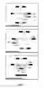 Fig. 02 - Use of RNA trans-splicing for generation of interfering RNA molecules