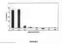 Fig. 06 - Olfactory cyclic nucleotide-gated channel cell-based assays to identify T1R and T2R taste modulators