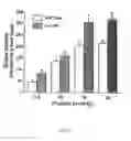 Fig. 06 - Methods for treating cardiac disease by modifying an N-terminal domain of troponin I
