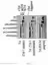 Fig. 08 - Methods for treating cardiac disease by modifying an N-terminal domain of troponin I