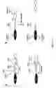 Fig. 02 - Method and compositions for detecting botulinum neurotoxin