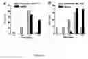 Fig. 07 - Method and compositions for detecting botulinum neurotoxin