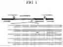 Fig. 02 - Nucleic acid sequences encoding two-component sensing and regulatory proteins, antimicrobial proteins and uses therefor