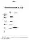 Fig. 02 - Protease, DNA encoding the same, and method for manufacturing protease
