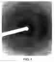 Fig. 02 - Mitotic kinesin binding site