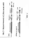 Fig. 02 - Transgenic animals for producing specific isotypes of human antibodies via non-cognate switch regions
