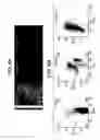 Fig. 09 - Methods and compositions for the growth and maintenance of stem cells