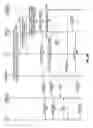 Fig. 04 - Selective redirection of cellular calls to a local wireless endpoint